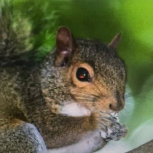 Meet your Posher, Annie